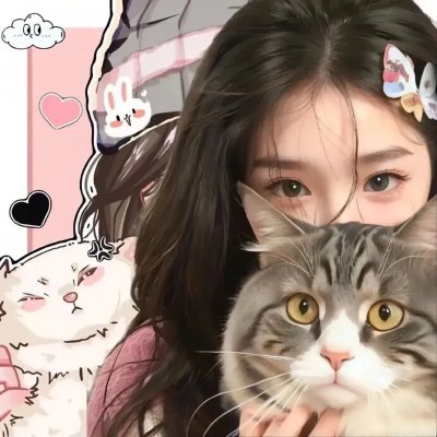 当哈维遇见鲍勃海报